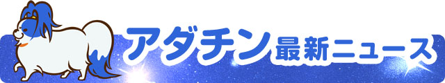 アダチン最新ニュース